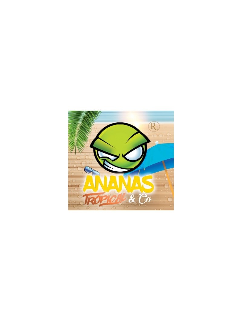 Concentré EXO Ananas Tropical & Co Revolute 10 ml