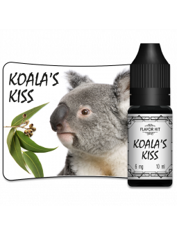 Koalas Kiss