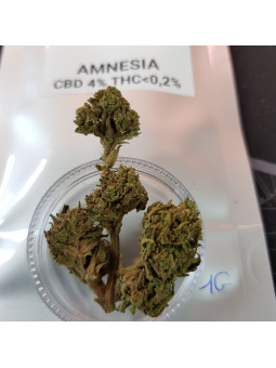 CBD Fleur - Amnésia - 3.5% CBD